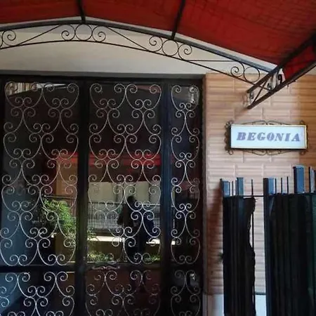 Aurelia Begonia Apartment - Family & Business-2